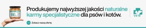 Dogs Plate — karma mokra dla psów i kotów