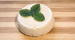 Ricotta Babkowicka