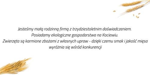 BEKON — zdjęcie sklepu