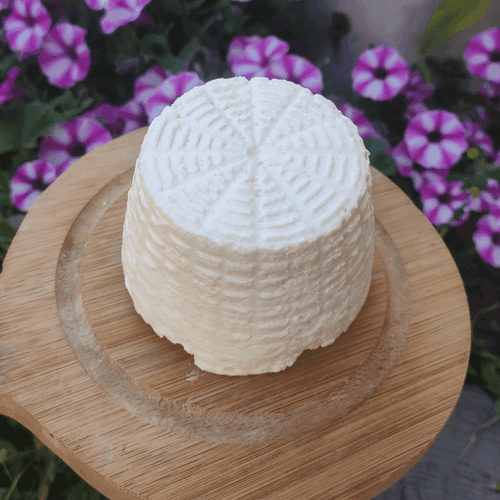 Ricotta