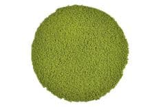 Matcha Uji Premium