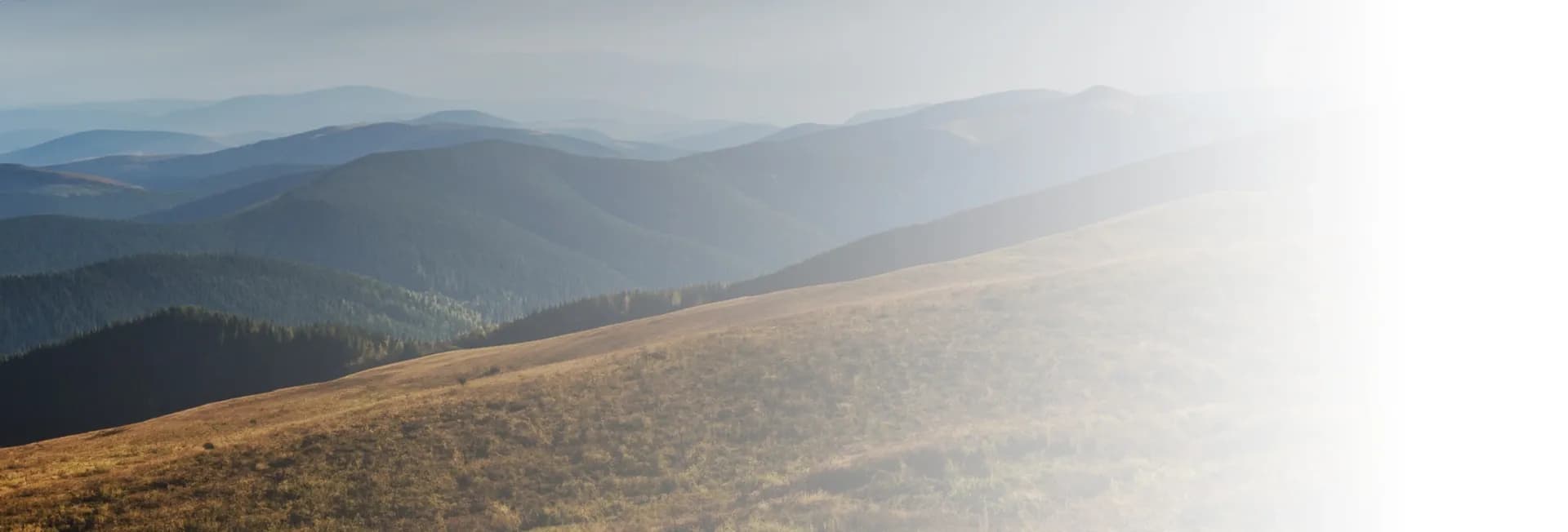 Bieszczady.Shop — zdjęcie sklepu