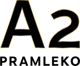 Logo Pramleko A2