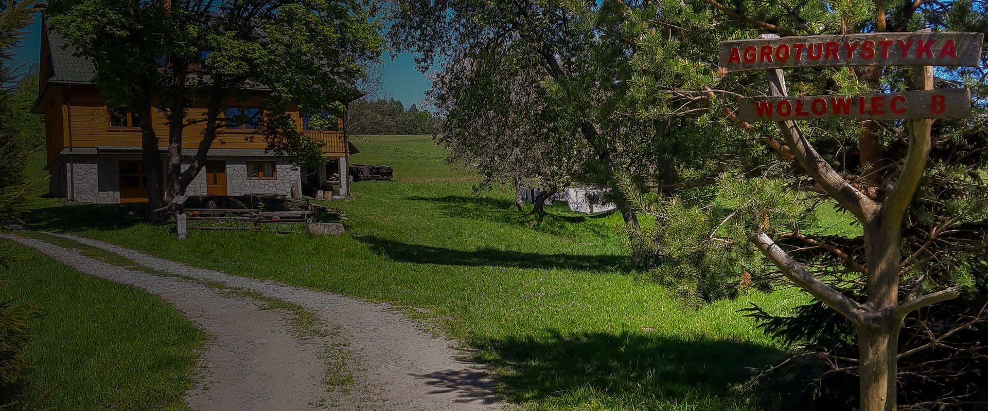 Wołowiec 8 — zdjęcie sklepu
