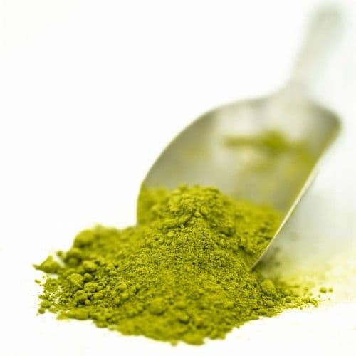 Matcha Codzienna Uji Kyoto 2025