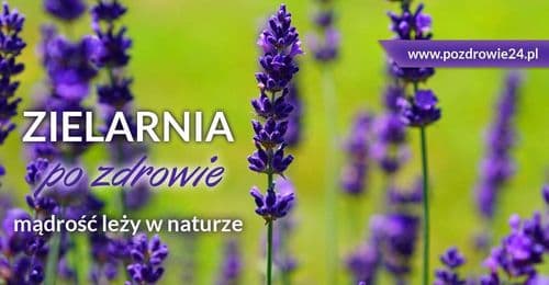 Zielarnia Po Zdrowie 24 — zdjęcie sklepu