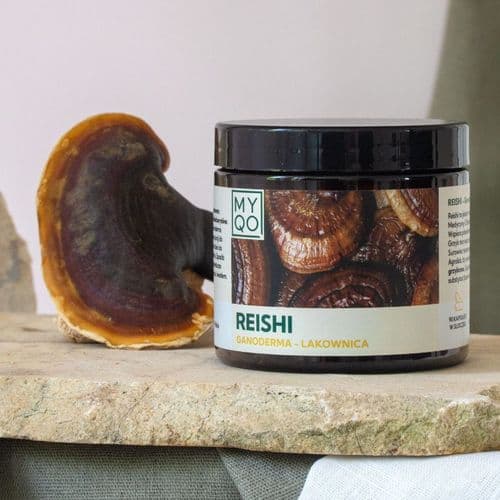 Reishi — Lakownica lśniąca 90 kapsułek